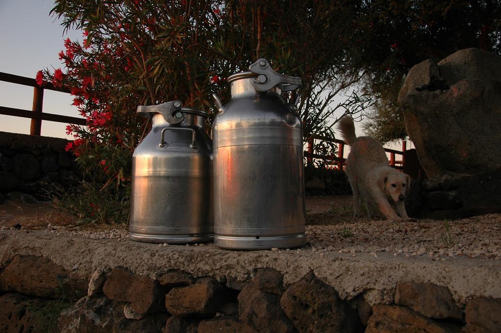 Agriturismo Codula Fuili Кала-Гононе Экстерьер фото