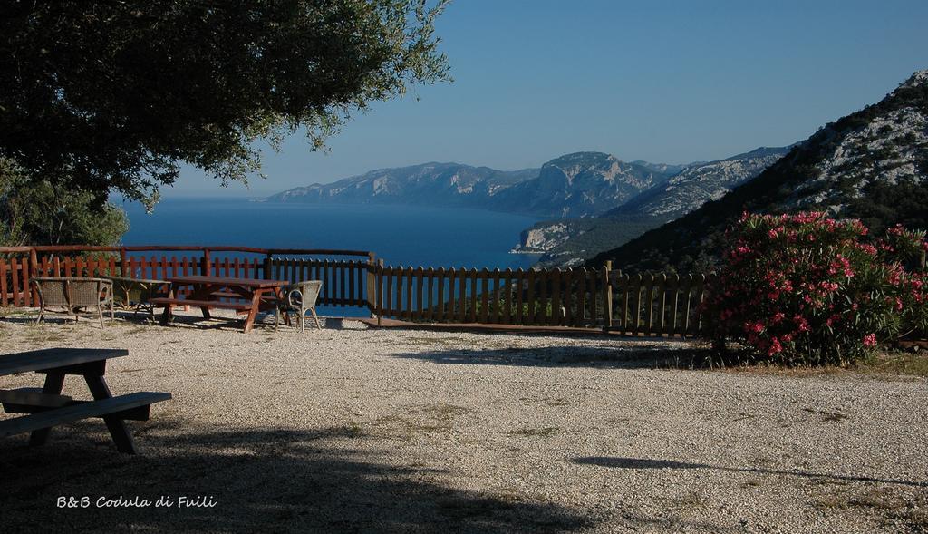 Agriturismo Codula Fuili Кала-Гононе Номер фото