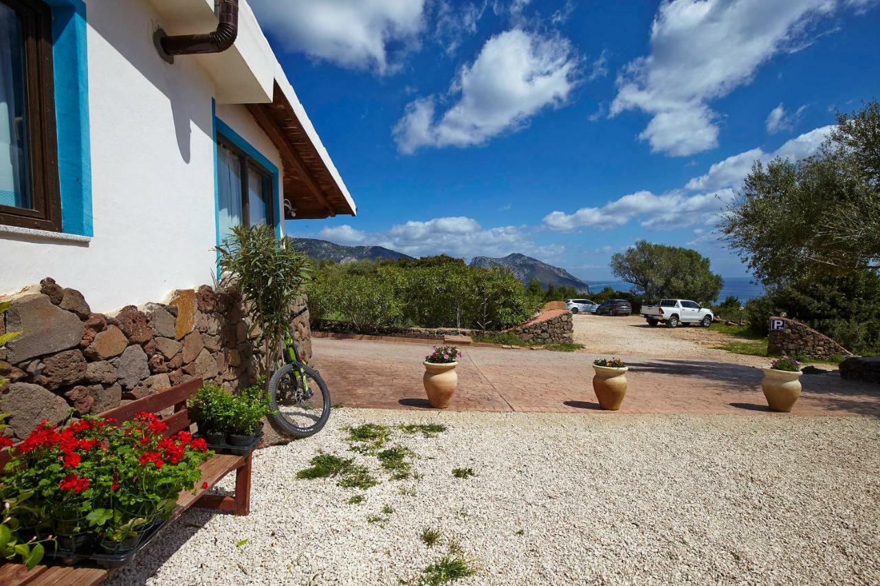 Agriturismo Codula Fuili Кала-Гононе Экстерьер фото